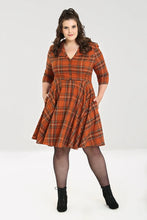 Laden Sie das Bild in den Galerie-Viewer, Swingkleid Tawny, Braun, Plus Size